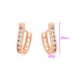 Huggie Con Zirconias