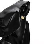 Aretes Simples de Acero Inoxidable 14K